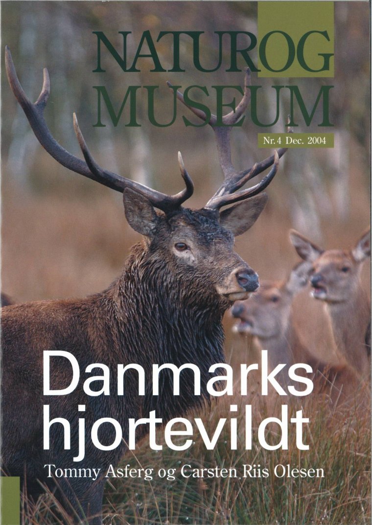 Danmarks hjortevildt
